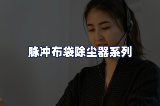 脉冲布袋除尘器系列